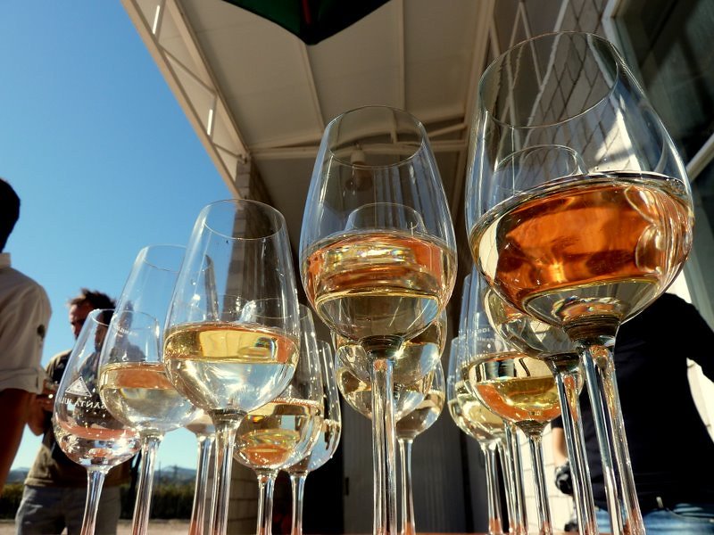 Conoce la ruta del vino con Wicked travels